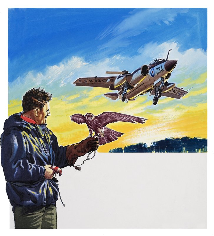 Falcon Flight (guassi paperille) tekijältä Wilf (20th century) Hardy