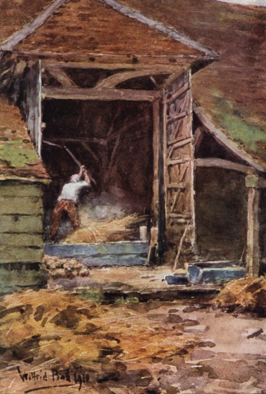 Old Abe, Flailing (värilitografia) tekijältä Wilfrid Williams Ball