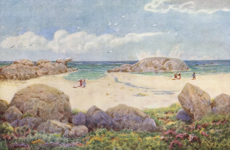 Camps Bay, Victoria Roadin varrella (värilitro). tekijältä Wilhelm Westhofen