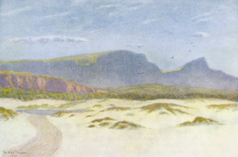 Hiekkadyynit (värilitro) tekijältä Wilhelm Westhofen