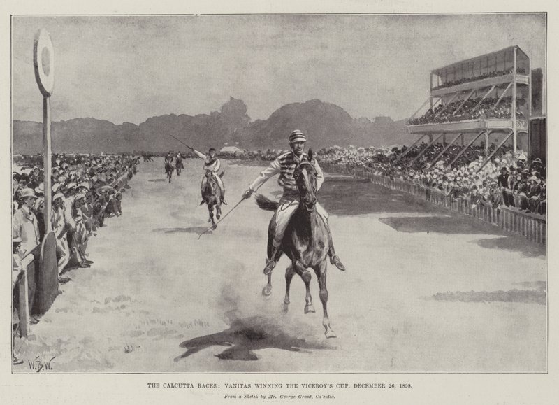 Calcutta Races, Vanitas voitti Viceroy