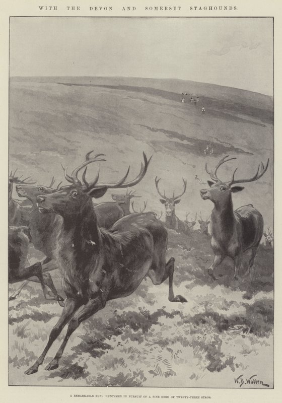 Devon and Somerset Staghounds -yhdistyksen kanssa. tekijältä William Barnes Wollen