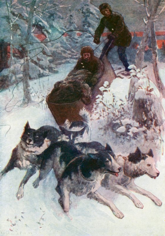 Koira-kariole Matkailu tekijältä William Henry Charles Groome
