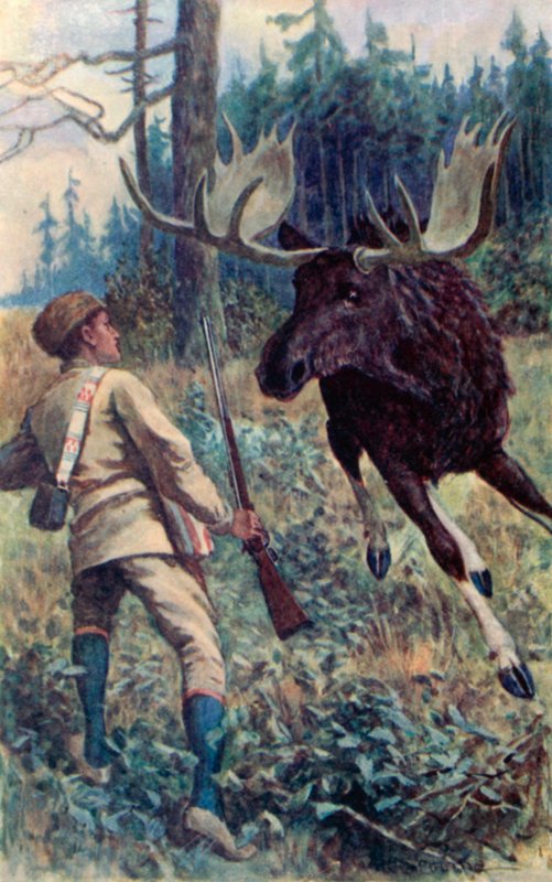 Hirvi hyppäsi hänen kimppuunsa tekijältä William Henry Charles Groome