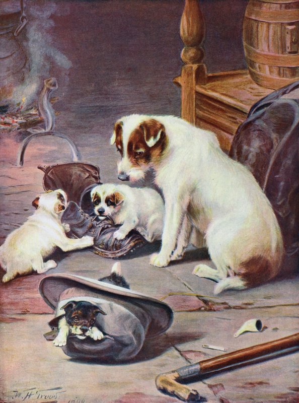 Lupaava perhe tekijältä William Henry Hamilton Trood