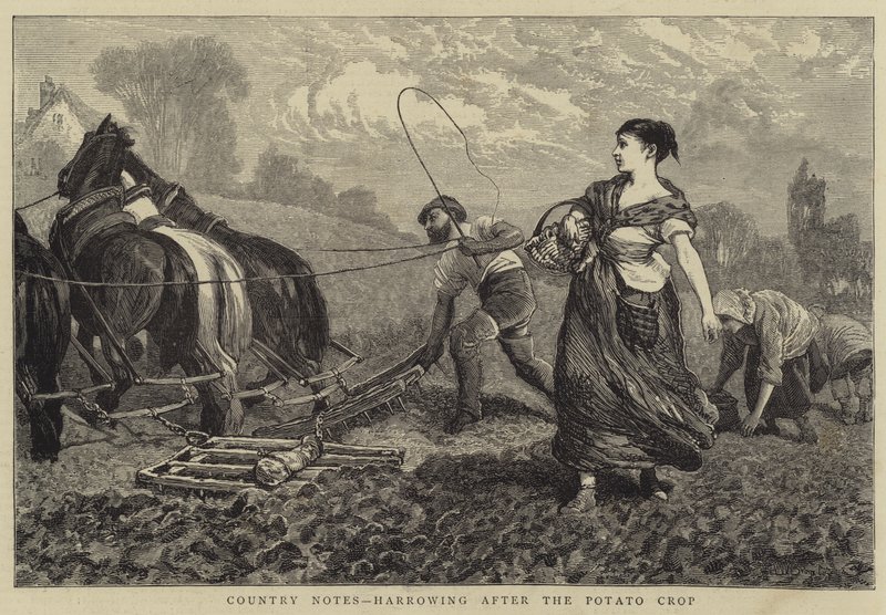 Country Notes, perunasadon jälkeinen ahdistus tekijältä William III Bromley