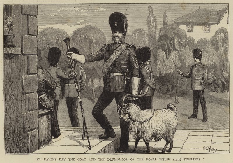 Pyhän Davidin päivä, vuohi ja kuninkaallisten Walesin (23.) Fusiliersin rumpumajuri tekijältä William III Bromley