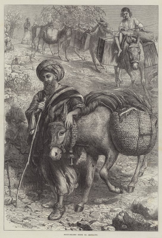 Hedelmäkauppiaat Jerusalemiin tekijältä William J. Webbe or Webb