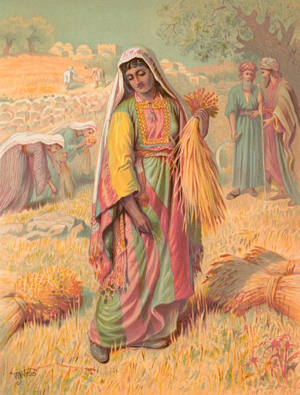 Ruth tekijältä William J. Webbe or Webb
