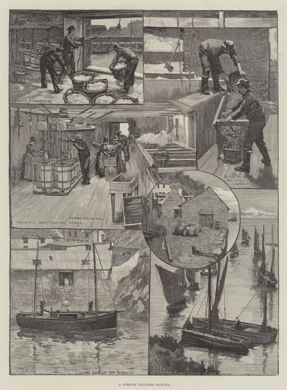Cornish Pilchard -tehdas tekijältä William Mouat Loudan