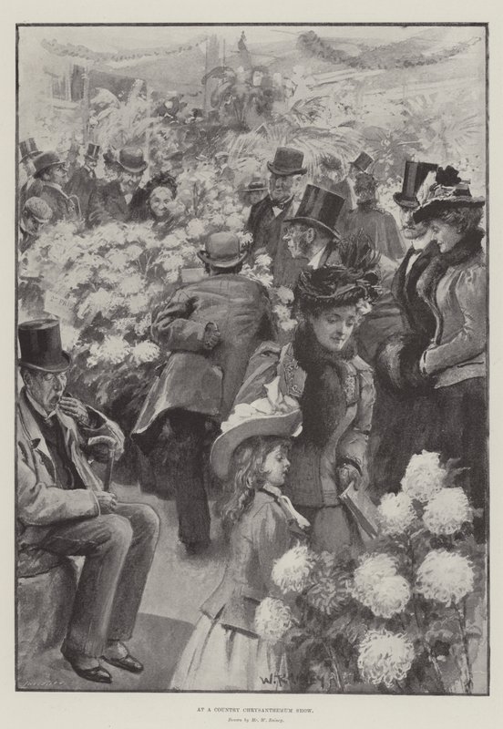 Country Chrysanthemum Showssa tekijältä William Rainey