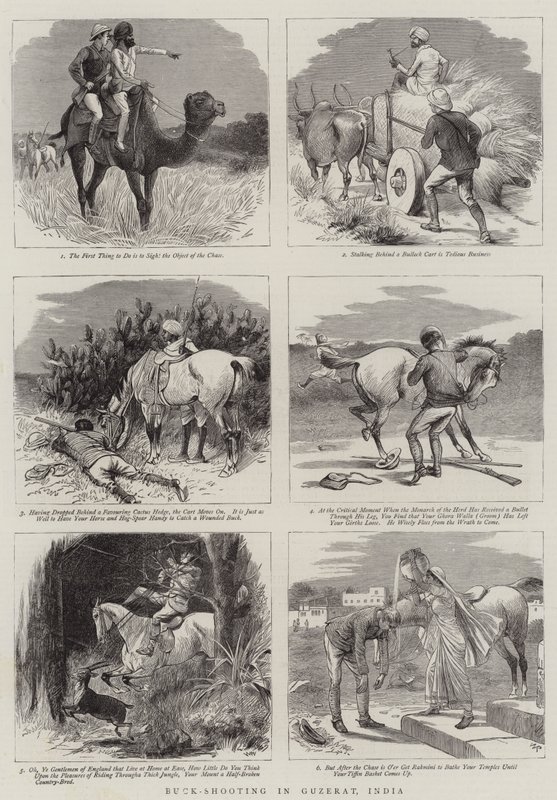Buck-ammunta Guzeratissa, Intiassa tekijältä William Ralston