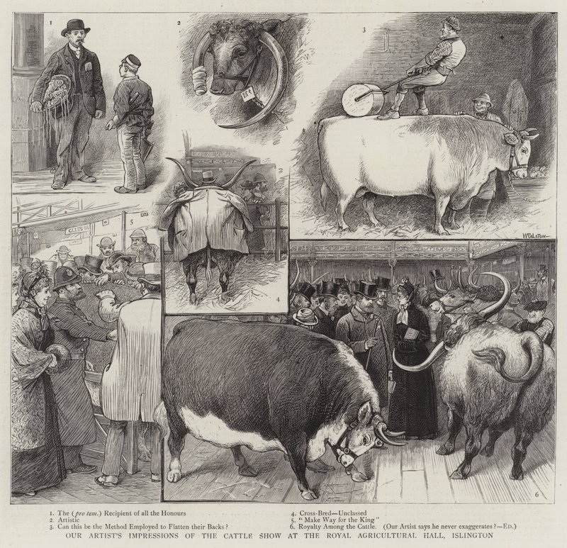 Taiteilijamme vaikutelmia karjanäyttelystä Royal Agricultural Hallissa Islingtonissa tekijältä William Ralston