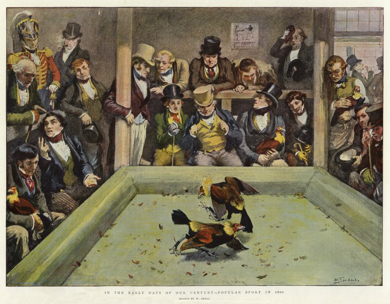 Vuosisadamme alkuaikoina, Popular Sport vuonna 1800 tekijältä William Small