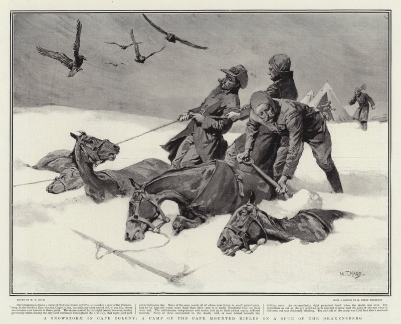 Lumimyrsky Cape Colonyssa, Cape Mounted -kiväärien leiri Drakensbergin kannuksella tekijältä William T. Maud
