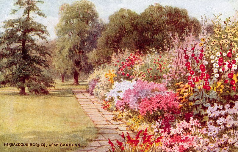 Ruohoraja, Kew Gardens tekijältä William Affleck Carruthers