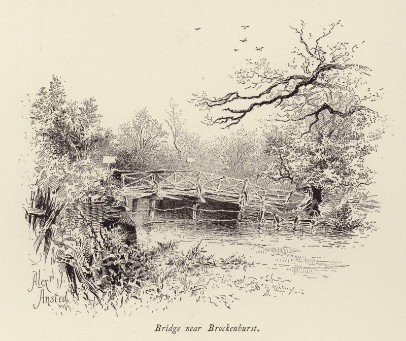 Silta lähellä Brockenhurstia (kaiverrus) tekijältä William Alexander Ansted