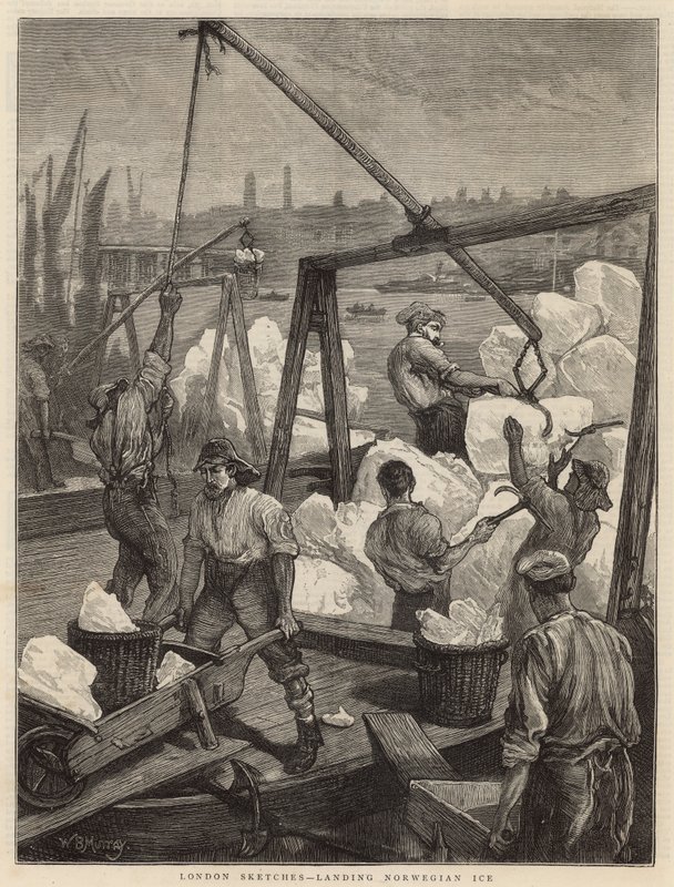 Landing Norwegian Ice (kaiverrus) tekijältä William Bazett Murray