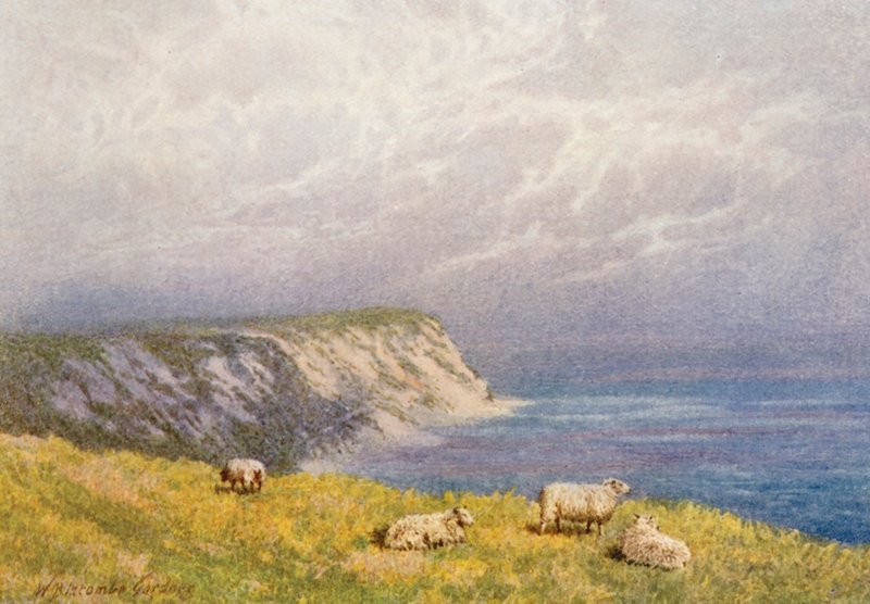 Abbot