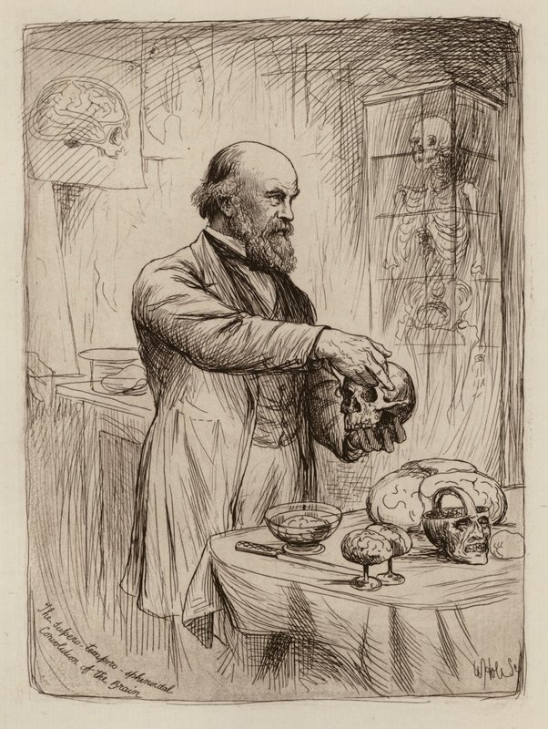 William Turner, anatomian professori (kaiverrus) tekijältä William Brassey (after) Hole