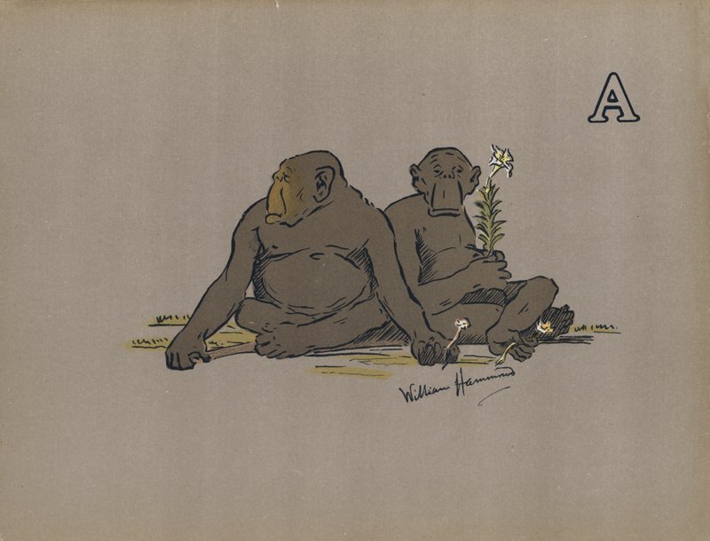 Kirjain A, Esteettiset antropoidiapinat, jotka omaksuvat epänormaalin apaattisen asenteen (värilitho) tekijältä William Hammond