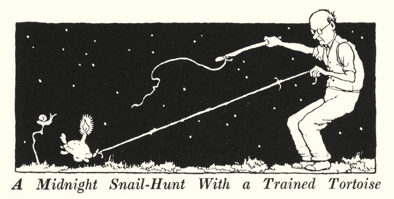 Keskiyön etananmetsästys koulutetun kilpikonnan kanssa (litho) tekijältä William Heath Robinson