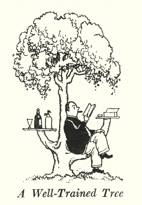 Hyvin koulutettu puu (litho) tekijältä William Heath Robinson