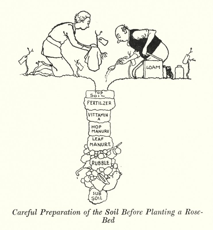 Maaperän huolellinen valmistelu ennen ruusupenkin istuttamista (litho) tekijältä William Heath Robinson