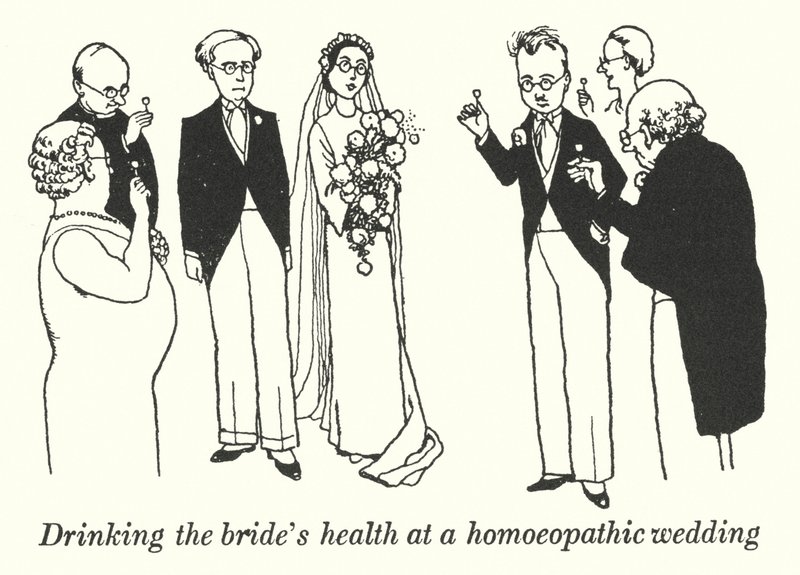 Morsiamen terveyden juominen homeopaattisissa häissä (litho) tekijältä William Heath Robinson