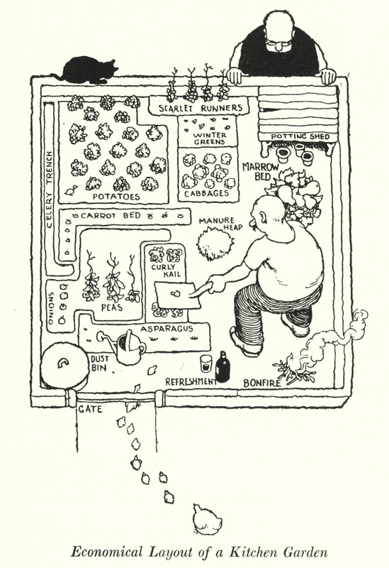 Taloudellinen keittiöpuutarhan pohjaratkaisu (litho) tekijältä William Heath Robinson