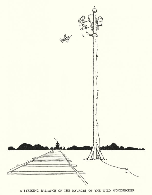 Kuvitus Railway Ribaldrylle, W Heath Robinson (litho) tekijältä William Heath Robinson