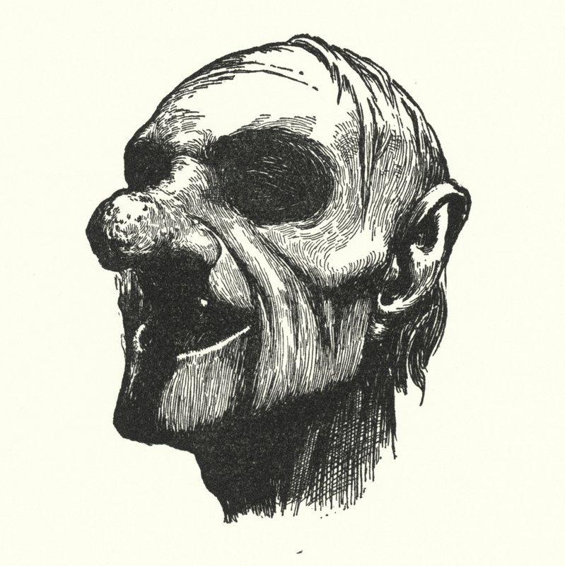 Kuvitus Rabelais