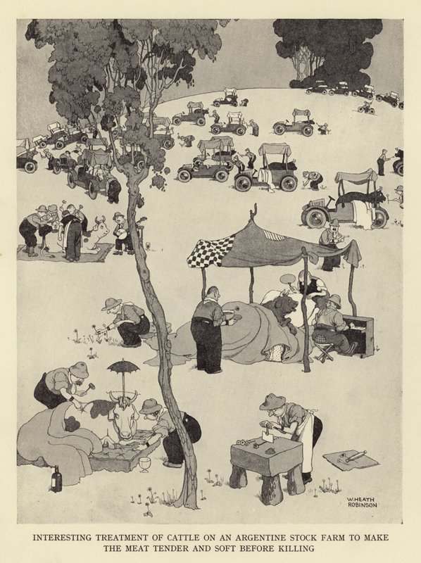 Mielenkiintoinen nautaeläinten hoito argentiinalaistilalla, jotta lihasta tulee pehmeää ja pehmeää ennen lopettamista tekijältä William Heath Robinson