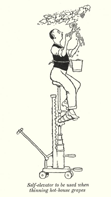Itsehissi, jota käytetään kuuman talon rypäleiden harvennus (litho) tekijältä William Heath Robinson