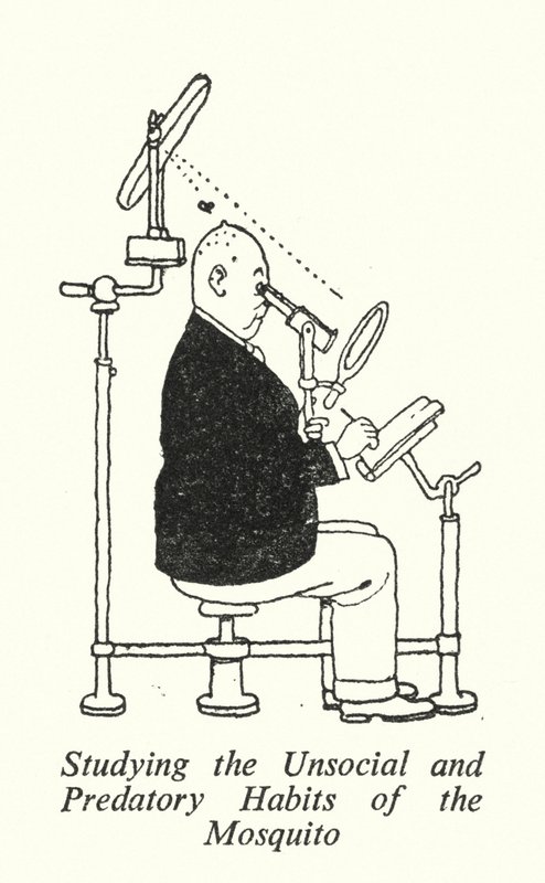 Hyttysten epäsosiaalisten ja saalistustavojen tutkiminen (litho) tekijältä William Heath Robinson
