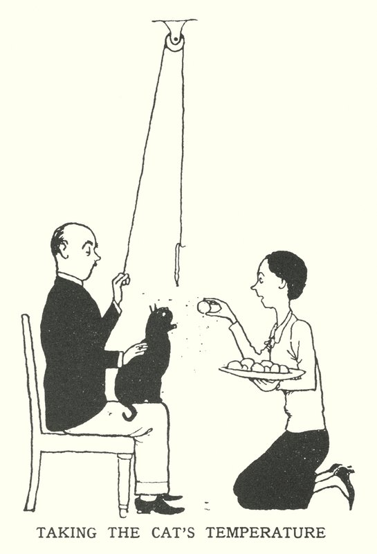 Kissan lämpötilan ottaminen (litho) tekijältä William Heath Robinson