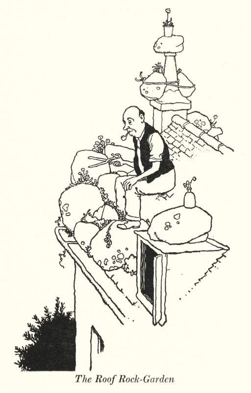 The Roof Rock-Garden (litho) tekijältä William Heath Robinson