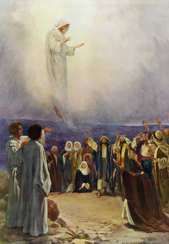 Herramme Ascension (väri litho) tekijältä William Henry (after) Margetson