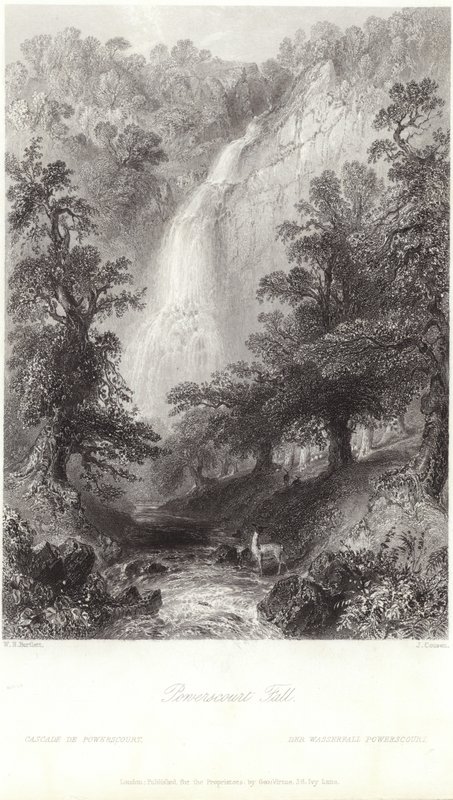 Powerscourt Fall Dargle-joella tekijältä William Henry Bartlett