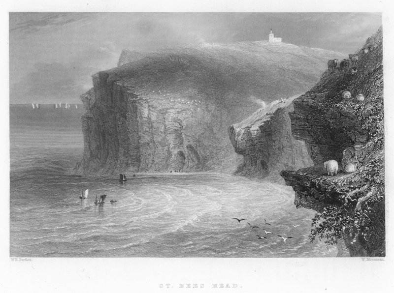 St Bees Head tekijältä William Henry Bartlett