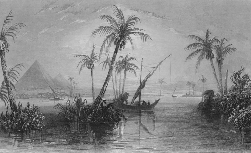La terra d