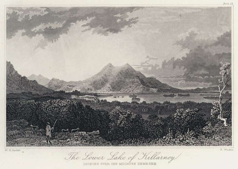 Killarneyn alajärvi, näkymä Mucruss Demesnen yli (kaiverrus) tekijältä William Henry Bartlett
