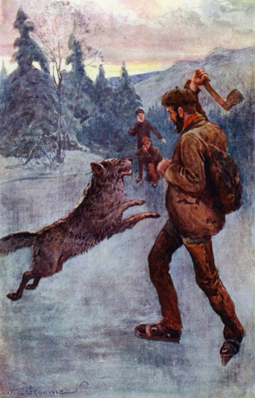 "Hän ampui; ja raa