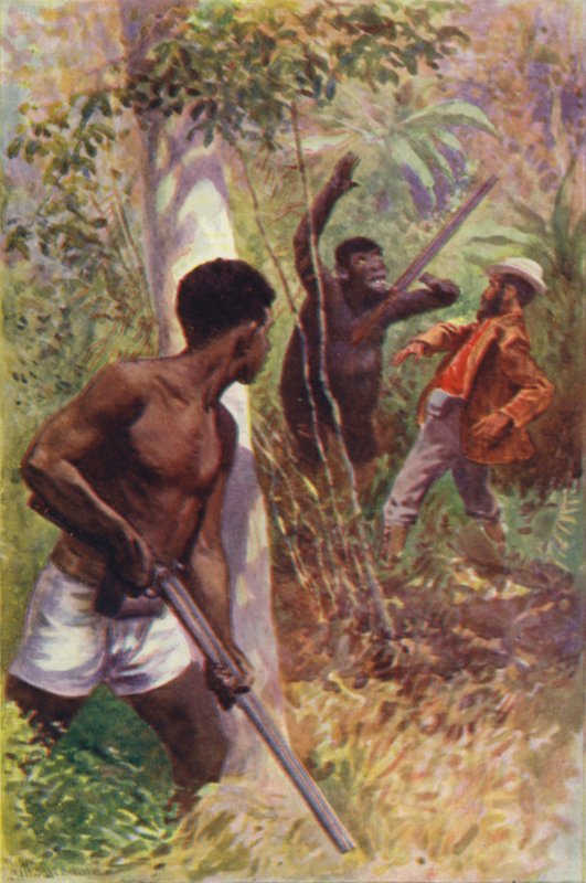 R M Ballantynen kuvitus Gorilla Huntersille (värilitho) tekijältä William Henry Charles Groome