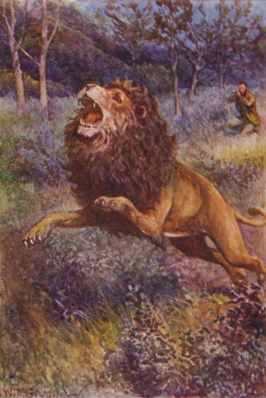 R M Ballantynen kuvitus Gorilla Huntersille (värilitho) tekijältä William Henry Charles Groome