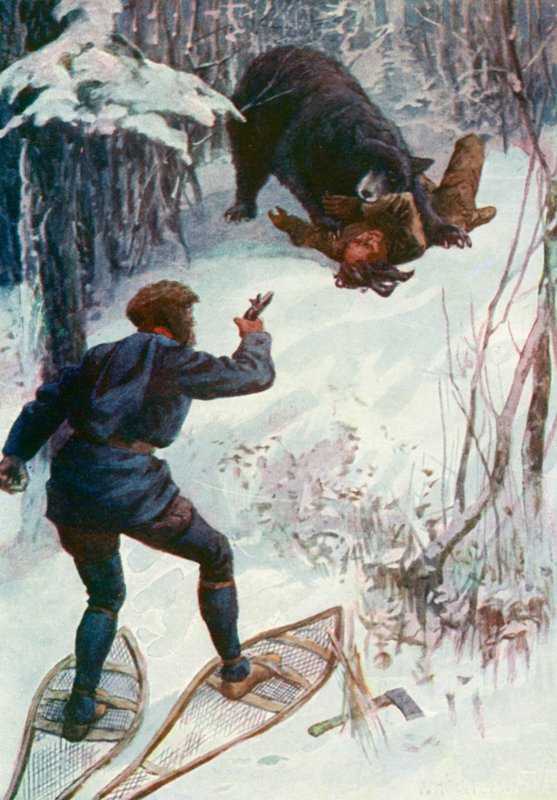 Karhu seisoi hänen päällänsä ja piti yhtä hänen käsivarrestaan suussaan tekijältä William Henry Charles Groome