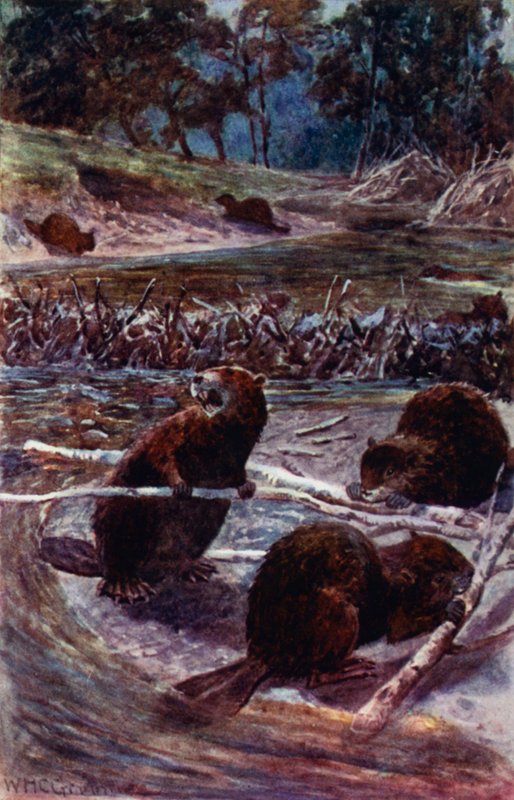 "He rakentavat padon virran yli" (väri litho) tekijältä William Henry Charles Groome