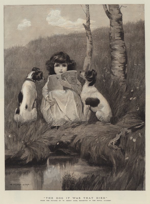 Se koira kuoli tekijältä William Henry Gore