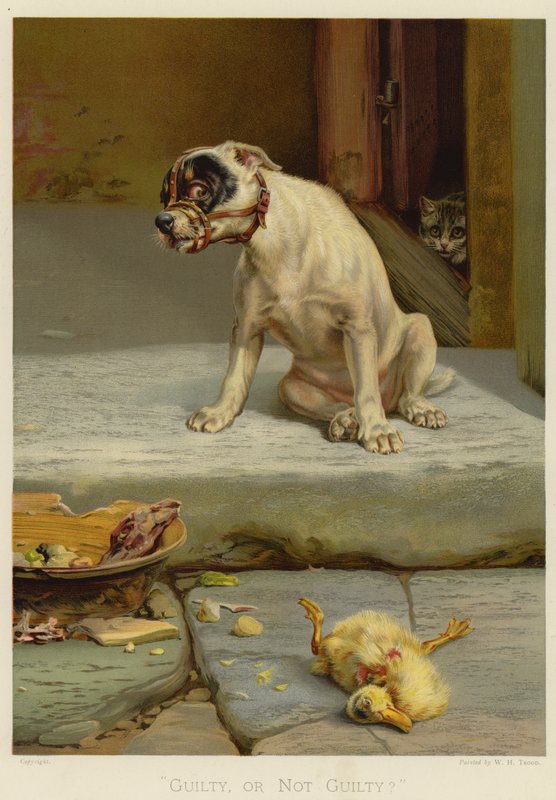 Syyllinen tai syytön (chromolitho) tekijältä William Henry Hamilton Trood