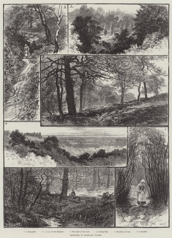 Luonnoksia Highgate Woodsissa tekijältä William Henry James Boot